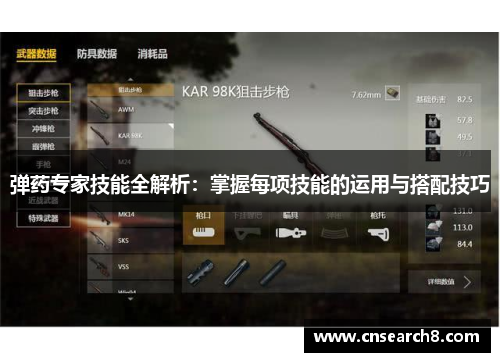 弹药专家技能全解析：掌握每项技能的运用与搭配技巧